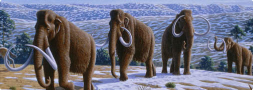 Прогулки с Динозаврами или Воскрешение Мамонта - «Клонирование»