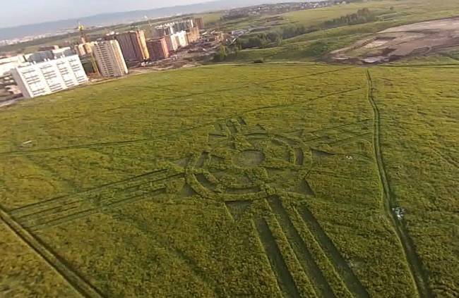 В Красноярске обнаружили огромный узор на траве (5 фото) - «Круги на полях»
