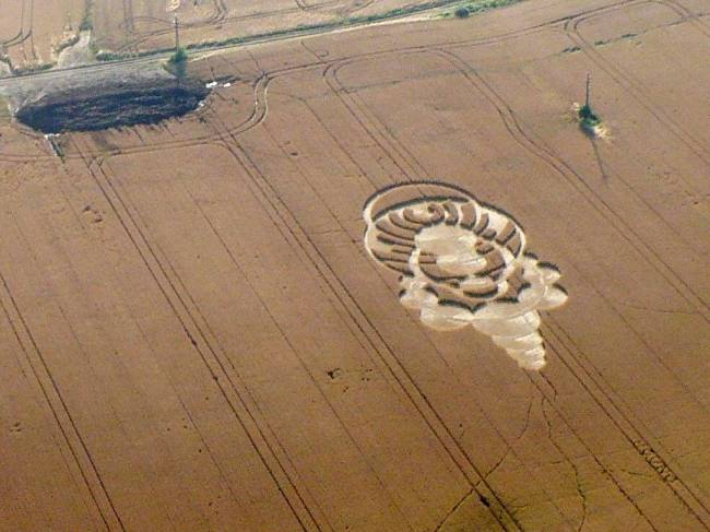 Ученые исследуют августовский узор на поле в Чехии (9 фото) - «Круги на полях»