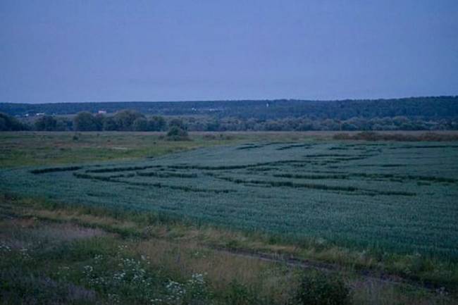 Узоры на полях Серпуховского района (6 фото) - «Круги на полях»