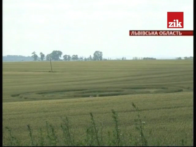 Круги на поле в Львовской области (4 фото) - «Круги на полях»