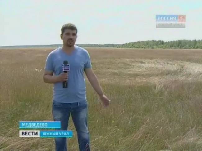 В Челябинской области обнаружили круги, очевидцы винят НЛО - «Круги на полях»