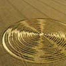 На поле в Латвии обнаружена гигантская пиктограмма - «Круги на полях»