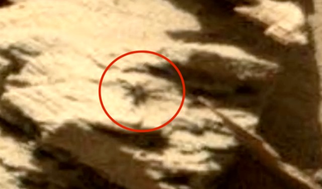 На марсианском фото от NASA высмотрели нечто, очень похожее на паука (5 фото) - «Тайны Космоса»