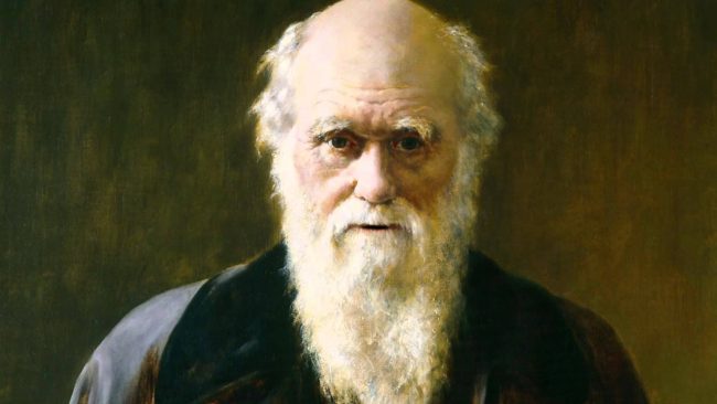привлекают ли инопланетян большие мозги? (3 фото) - «Инопланетяне»