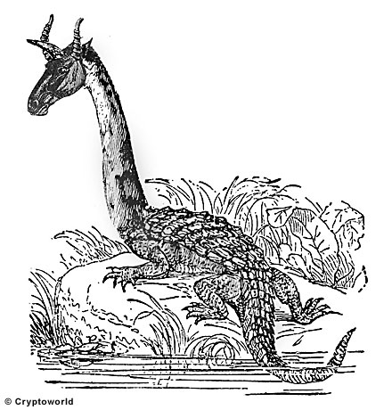 Таинственный гамбийский дракон нинки-нанка (3 фото) - «Загадочные Сооружения»