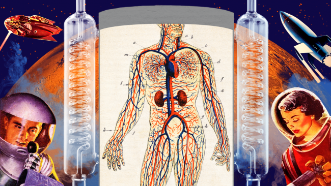 Нужно ли людям обновлять свои тела, чтобы выжить на Марсе? - «Тайны Космоса»