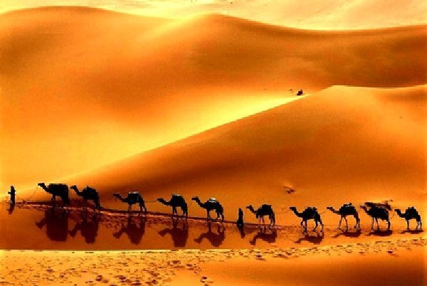 Великий шёлковый путь: почему в колодцах посреди пустыни всегда была вода (7 фото) - «Планета Земля»