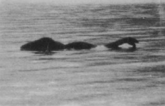 50 лет назад в озере Лох-Несс точно обитало какое-то чудовище - «Лох-Несс»
