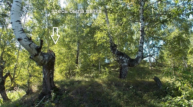 Как избавиться от полтергейста (4 фото) - «Призраки»