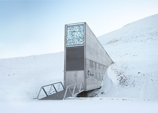 Из-за глобального потепления подтопило «Хранилище судного дня» в Норвегии (2 фото) - «Планета Земля»