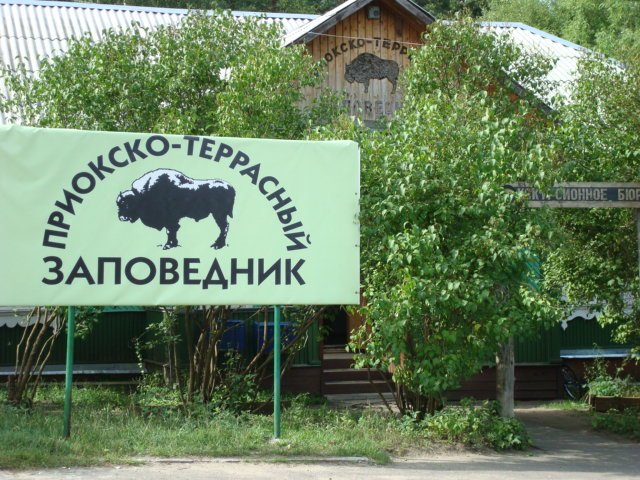 Пропавшее время в Приокско-Террасном заповеднике - «Аномальные зоны»
