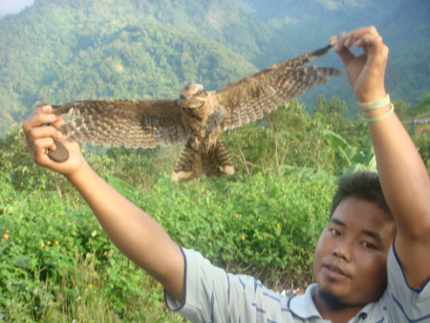 В индийской деревне птицы убивают сами себя (+Видео) - «Аномальные зоны»