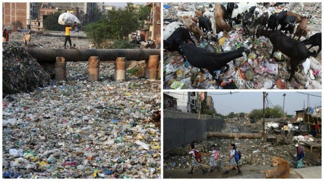 Жизнь в пластмассовом аду: трущобы Дели тонут в мусоре (19 фото) - «Гиблые зоны»
