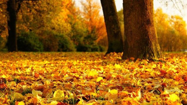 Осеннее равноденствие — приметы на погоду - «Тайны природы»