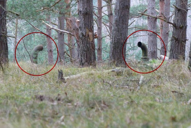 Они гуляли по лесу и увидели эти трубы. То, что находилось под ними, повергло их в ужас (30 фото) - «Гиблые зоны»