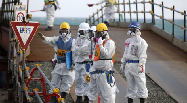 Мутанты Фукусимы (5 фото) - «Катаклизмы»