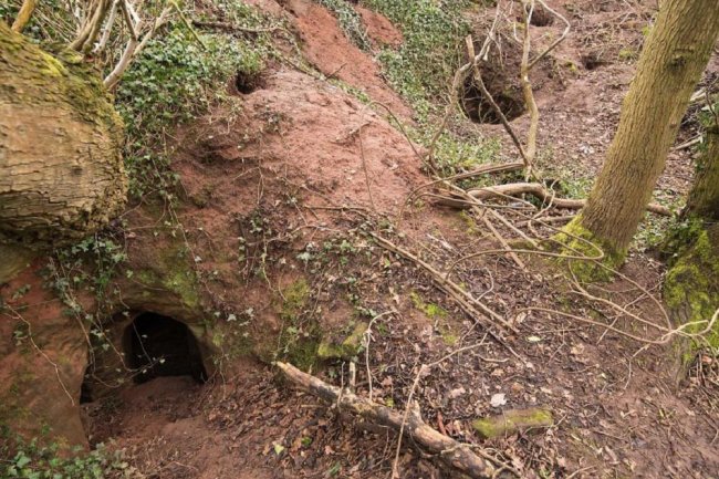 Удивительно: эти кроличьи норы ведут в древнюю пещеру, построенную тамплиерами (9 фото) - «Загадочные Сооружения»