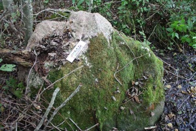 Кричащий и движущийся камень в белорусском лесу (3 фото) - «Загадочные Сооружения»