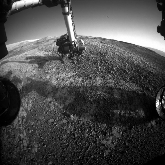 На январском снимке с Марса обнаружили НЛО или… птицу (3 фото) - «Тайны Космоса»
