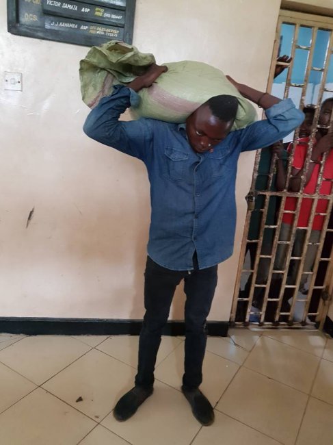 В Танзании вор, укравший мешок с кукурузой, подвергся проклятию и не смог снять мешок с плеч (2 фото) - «Мистика»