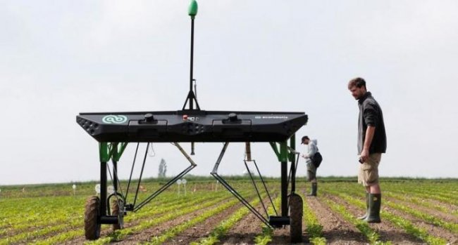В Швейцарии появился робот, который поможет искоренить ГМО-растений (3 фото) - «Новые технологии»