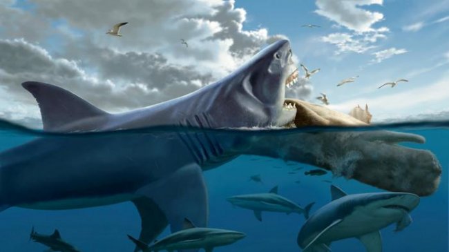 10 самых больших акул в мире (14 фото) - «Планета Земля»
