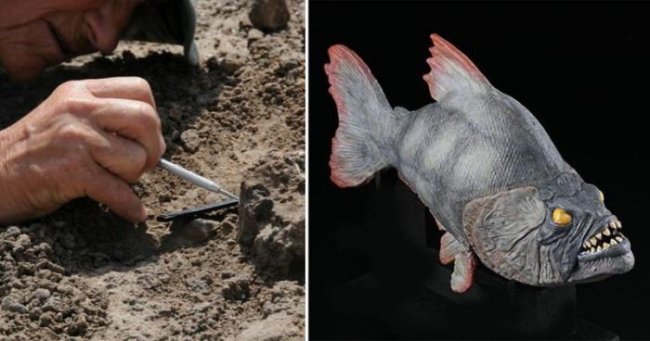 В Германии найдены останки пираньи, пожиравшей динозавров (5 фото) - «Планета Земля»