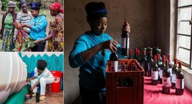 Африканская фермерша додумалась делать вино из свеклы, и дела у нее пошли в гору (13 фото) - «Планета Земля»