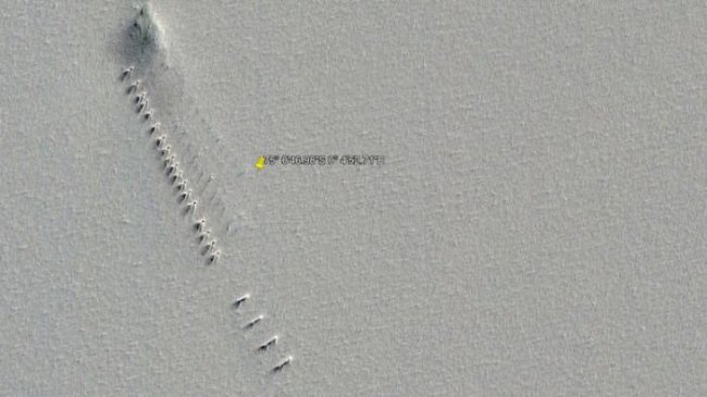 На картах Google Earth в Антарктиде нашли ряд странных идентичных объектов (6 фото) - «Планета Земля»