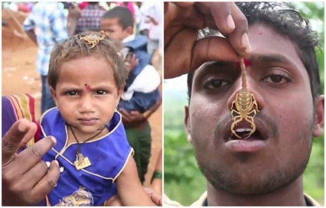 На этом фестивале в Индии местные усаживают на лицо и тело скорпионов (8 фото + 1 видео) - «Планета Земля»