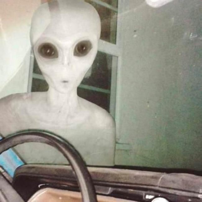 Мир обсуждает фото реального пришельца, стоящего впритык к камере (2 фото) - «Инопланетяне»
