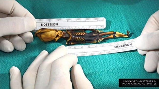 Загадочная мумия гуманоида Атакамы (4 фото) - «Инопланетяне»