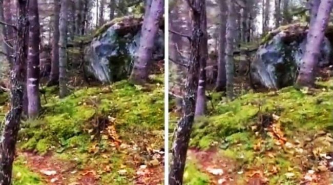 «Дышащая» земля в канадском лесу смутила интернет (3 фото + 2 видео) - «Аномальные зоны»
