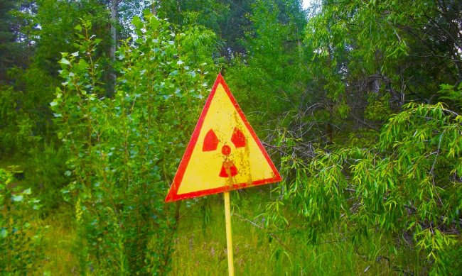 Мой первый нелегальный Чернобыль (24 фото) - «Аномальные зоны»