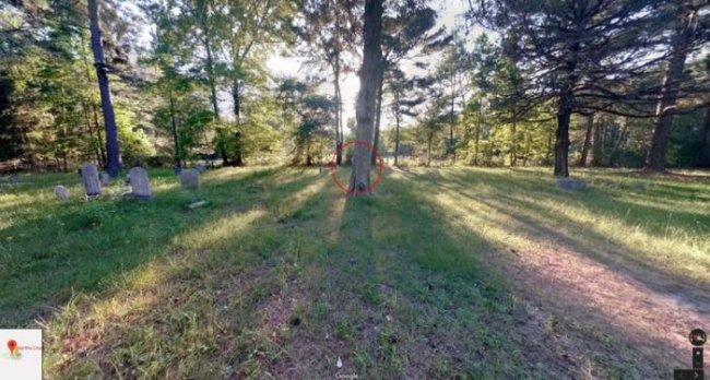 На снимке заросшего кладбища в Google Maps разглядели пугающую голову «девочки-призрака» (4 фото) - «Призраки»