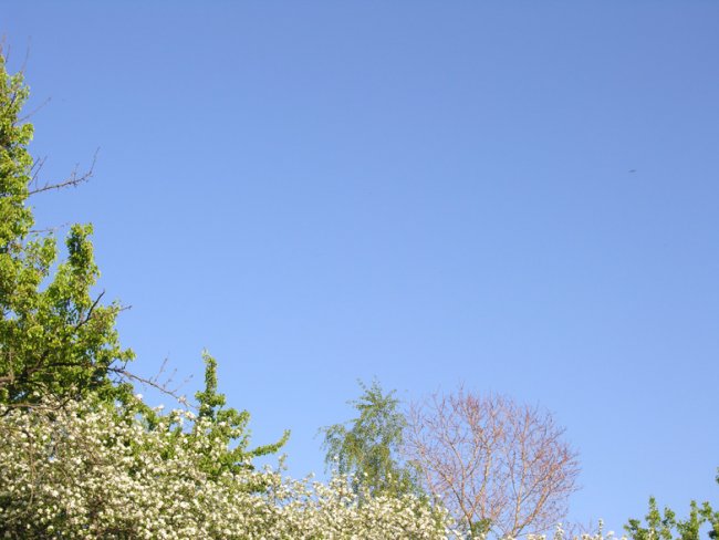 НЛО в царицино в яркий солнечный день (2 фото) - «Истории НЛО»