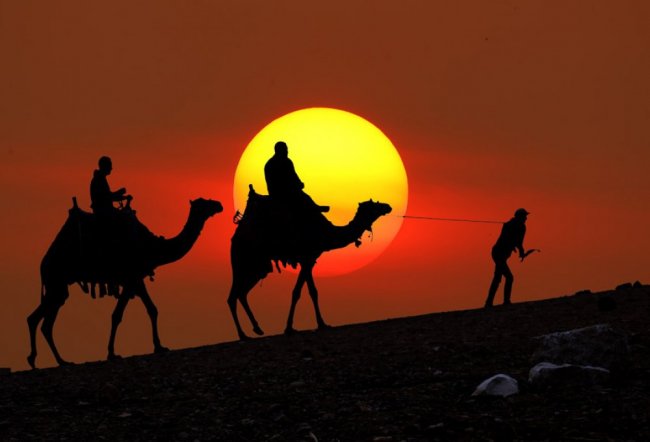 Египтолог объяснил загадку исчезновения 50-тысячной армии в пустыне - «Египет»