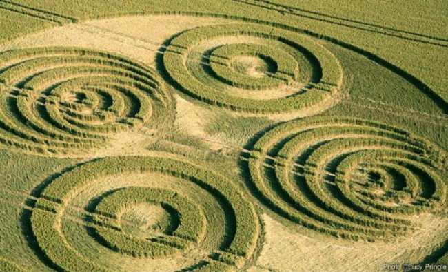 Расшифровка кругов на полях: что там говорят инопланетяни (8 фото) - «Круги на полях»