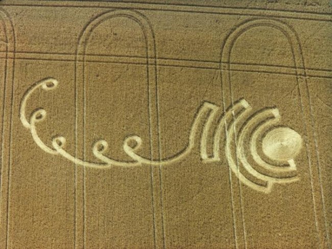 Творчество инопланетян на колхозных полях России (10 фото) - «Круги на полях»
