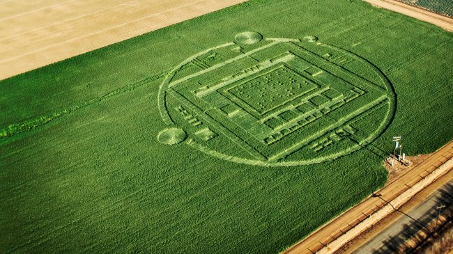Найдены авторы таинственных кругов на полях - «Круги на полях»