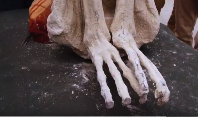 В Перу возле плато Наска нашли странную мумию. Останки пришельца? (7 фото) - «Инопланетяне»