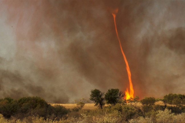 Загадочное природное явление под названием дикий или воздушный огонь (4 фото) - «Планета Земля»