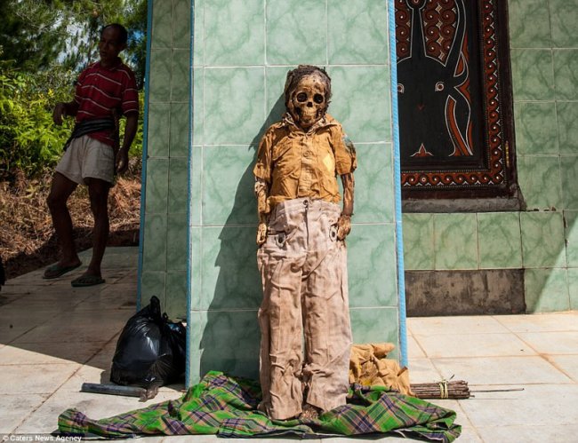 Индонезийский народ тораджи провел очередной праздник «выгула» мертвецов (15 фото) - «Планета Земля»