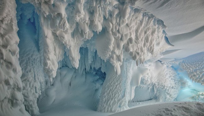 Австралийские учёные заявили, что в теплых пещерах под ледниками Антарктиды процветает жизнь (2 фото + 2 видео) - «Планета Земля»
