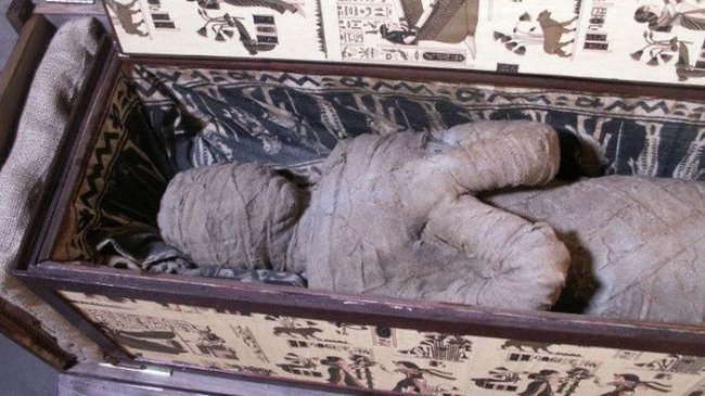 Немецкий мальчик нашел древнюю египетскую мумию на чердаке своей бабушки (4 фото) - «Египет»