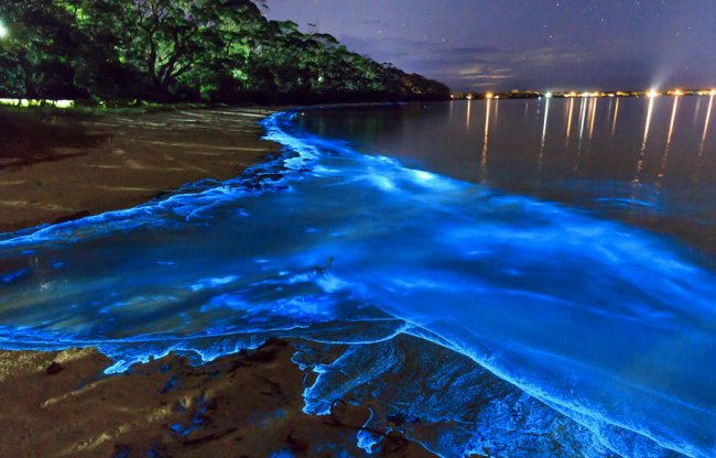 10 самых невероятных заливов мира (10 фото) - «Планета Земля»