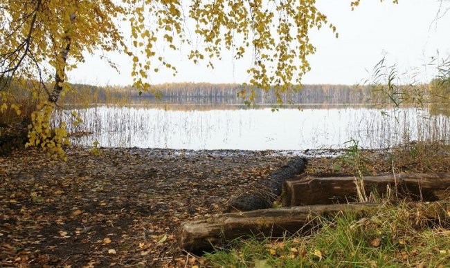 Озеро Малое Плотово: На нем регулярно появляется и пропадает таинственный остров (2 фото) - «Аномальные зоны»