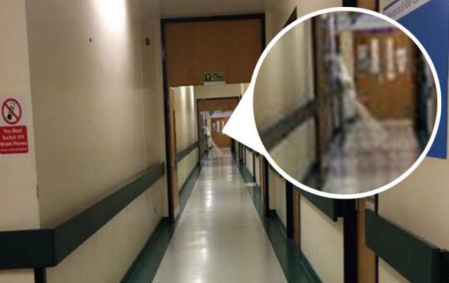 В коридоре английской больнице засняли привидение - «Призраки»