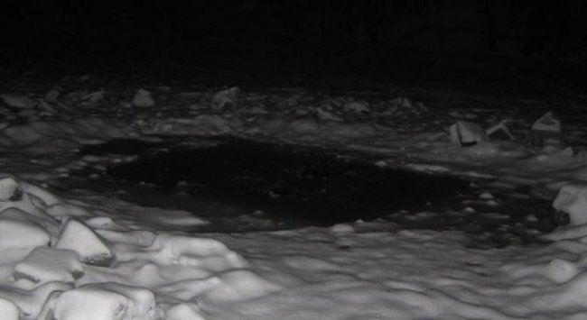 Призрак из черной полыньи - «Призраки»